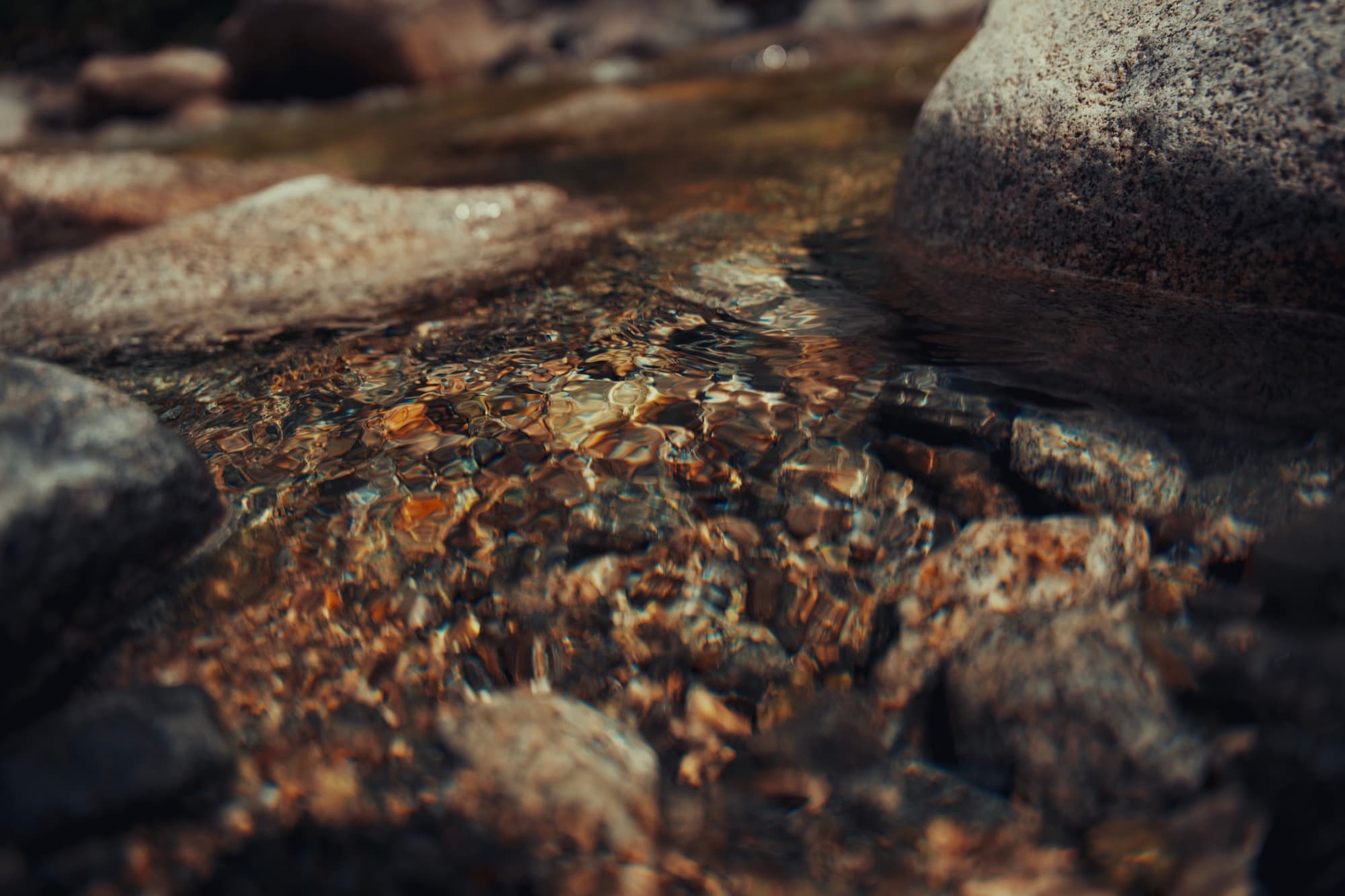 A landscape graded with MagicTrick
